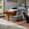 Frisco Mega Deluxe Litter Box -Frisco 526526 MAIN. AC SS1800 V1659623787