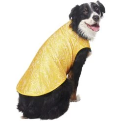 Frisco 30+ UPF Dog & Cat Beach Rash Guard -Frisco 556286 PT4. AC SS1800 V1675713977