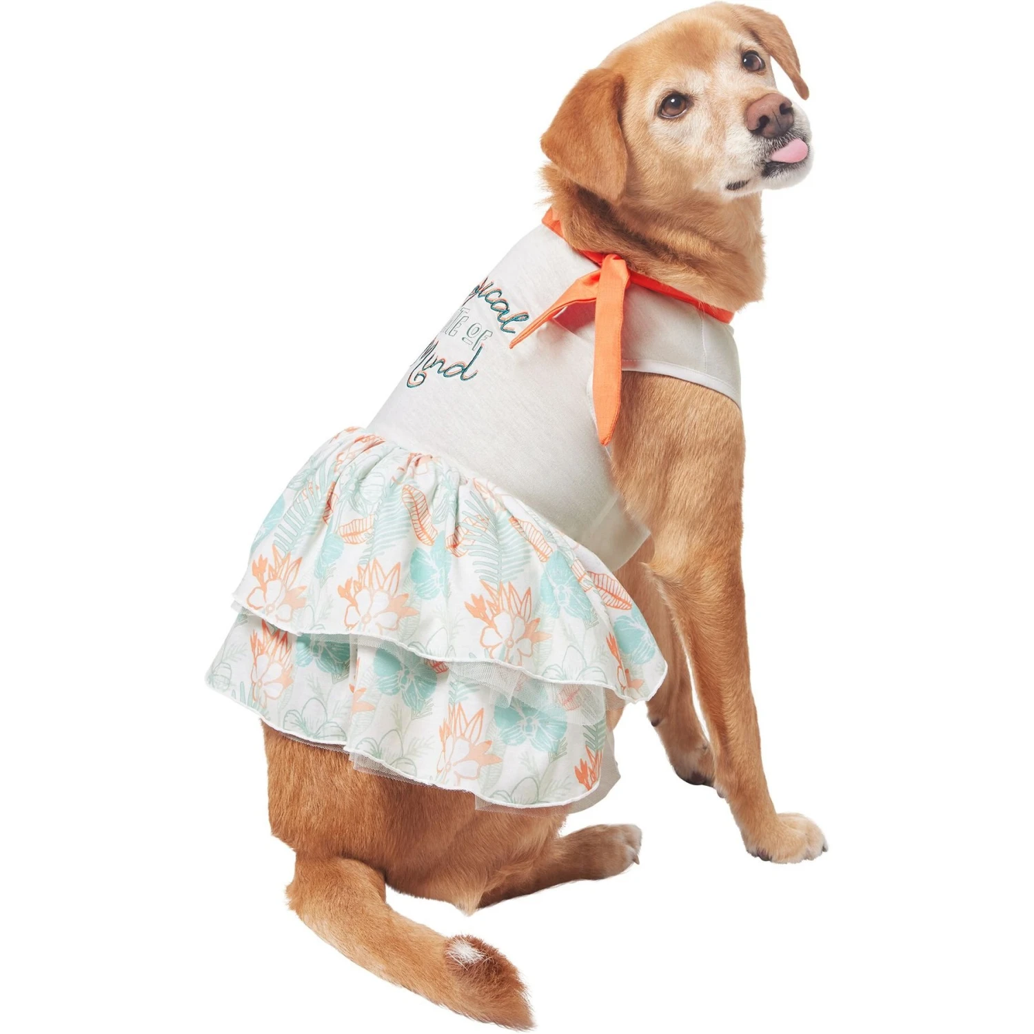 Frisco Tropical State Of Mind Dog & Cat Dress 6 Frisco Tropical State Of Mind Dog & Cat Dress - Image 4
