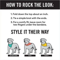 Frisco Gingerbread Treats Personalized Dog & Cat Bandana -Frisco 564502 PT2. AC SS1800 V1660250859