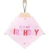 Frisco Dog & Cat Birthday Bandana -Frisco 608206 MAIN. AC SS1800 V1676643308