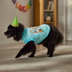 Frisco Birthday Celebration Dog & Cat T-Shirt -Frisco 608318 PT7. AC SS1800 V1676643247