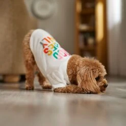 Frisco Good Vibes Only Dog & Cat T-Shirt -Frisco 608518 PT7. AC SS1800 V1676644453