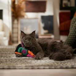 Frisco Halloween Frog In Witch Hat Plush Kicker Cat Toy With Catnip 8 Frisco Halloween Frog In Witch Hat Plush Kicker Cat Toy With Catnip -Frisco 667942 PT3. AC SS1800 V1689355019