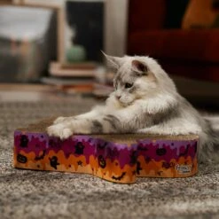 Frisco Halloween Ghost Swirl Scratcher Cat Toy With Catnip -Frisco 668230 PT3. AC SS1800 V1689343997