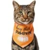 Frisco Hey There Pumpkin Dog & Cat Bandana 2 Frisco Hey There Pumpkin Dog & Cat Bandana -Frisco 706374 MAIN. AC SS1800 V1689351106