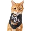 Frisco Trick Or Treat Dog & Cat Bandana 1 Frisco Trick Or Treat Dog & Cat Bandana -Frisco 706398 MAIN. AC SS1800 V1689271218