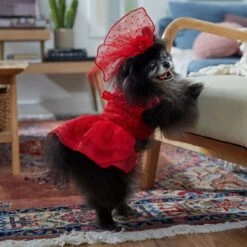 Frisco Red Ruffle Dog & Cat Dress + Headpiece -Frisco 707286 PT7. AC SS1800 V1689351702
