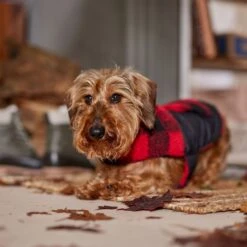 Frisco Reversible Medium Weight Boulder Plaid Dog & Cat Coat -Frisco 717846 PT7. AC SS1800 V1692375977