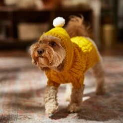 Frisco Sherpa Lined Chunky Cable Knit Dog & Cat Hooded Sweater -Frisco 718374 PT7. AC SS1800 V1692379031