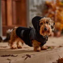 Frisco Medium Weight Faux Leather Dog & Cat Parka With Faux Fur Trimmed Hood, Black -Frisco 719798 PT7. AC SS1800 V1692376307