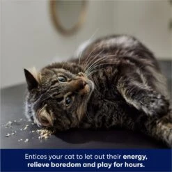 Frisco Natural Catnip & Hartz Just For Cats Mini Mice Cat Toy With Catnip, 5 Count -Frisco 737478 PT4. AC SS1800 V1683212204