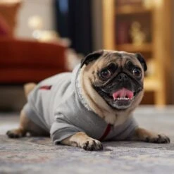 Frisco Sweatshirt Fleece Dog & Cat Hoodie With Sherpa Lining -Frisco 742550 PT7. AC SS1800 V1692378690