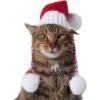 Frisco Chunky Knit Santa Dog & Cat Hat -Frisco 744878 MAIN. AC SS1800 V1694812847