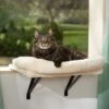 Frisco Plush Cat Window Perch With Removeable Bolster 1 Frisco Plush Cat Window Perch With Removeable Bolster -Frisco 804630 MAIN. AC SS1800 V1695933061