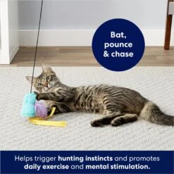 Frisco Colorful Springs Cat Toy & Frisco Bird With Feathers Teaser Wand Cat Toy With Catnip 19 Frisco Colorful Springs Cat Toy & Frisco Bird With Feathers Teaser Wand Cat Toy With Catnip -Frisco 962126 PT8. AC SS1800 V1694782921